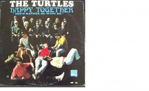 12-8 turtles